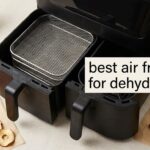 best air fryers for dehydrating