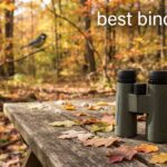 best binoculars
