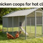 best chicken coops for hot climates