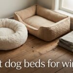 best dog beds for winter