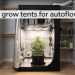 best grow tents for autoflowers