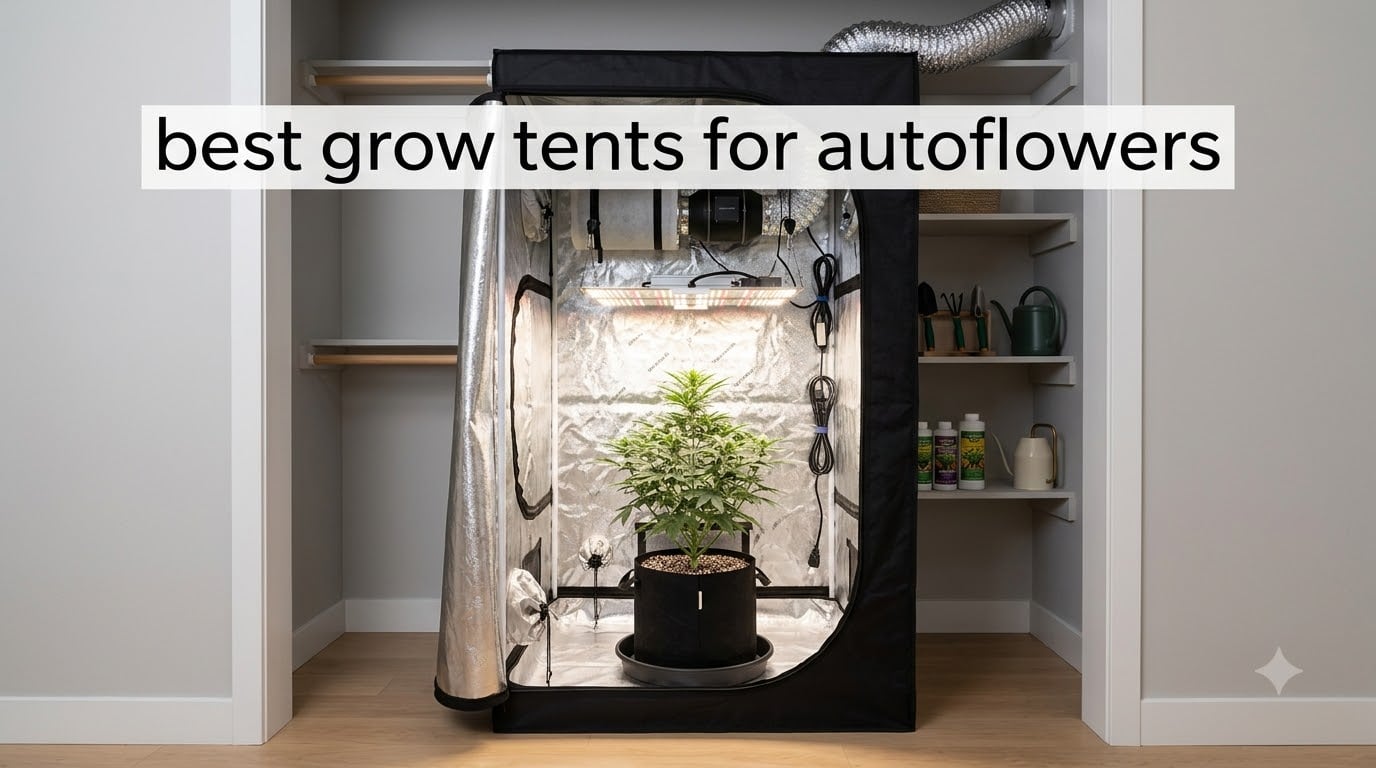 best grow tents for autoflowers