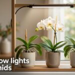 best grow lights for orchids