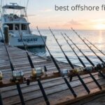 best offshore fishing rods
