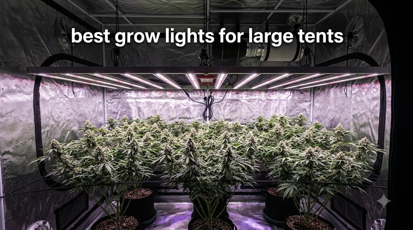 best grow lights for large tents