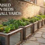 best raised garden beds for small yards