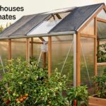 best greenhouses for hot climates