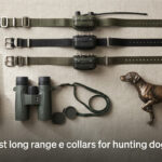 best long range e collars for hunting dogs