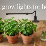 best grow lights for herbs