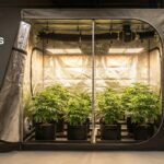 best large walk in grow tents