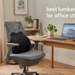 best lumbar pillows for office chairs