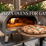 best pizza ovens for gas use