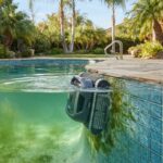 best pool cleaners for algae