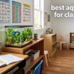 best aquariums for classrooms