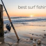 best surf fishing rods
