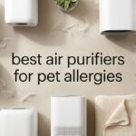 best air purifiers for pet allergies