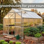 best greenhouses for year round use