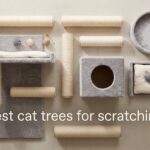 best cat trees for scratching