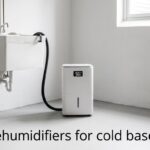 best dehumidifiers for cold basements