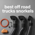 best off road trucks snorkels