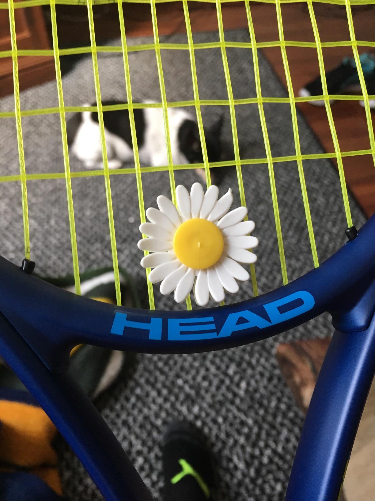 Tourna VIBREX Tennis Vibration Dampeners Unique, Fun, and Effective Designs customer photo 2