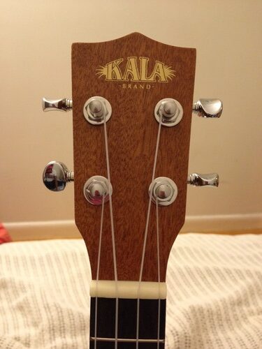 Kala KA-C Satin Mahogany Concert Ukulele customer photo 1
