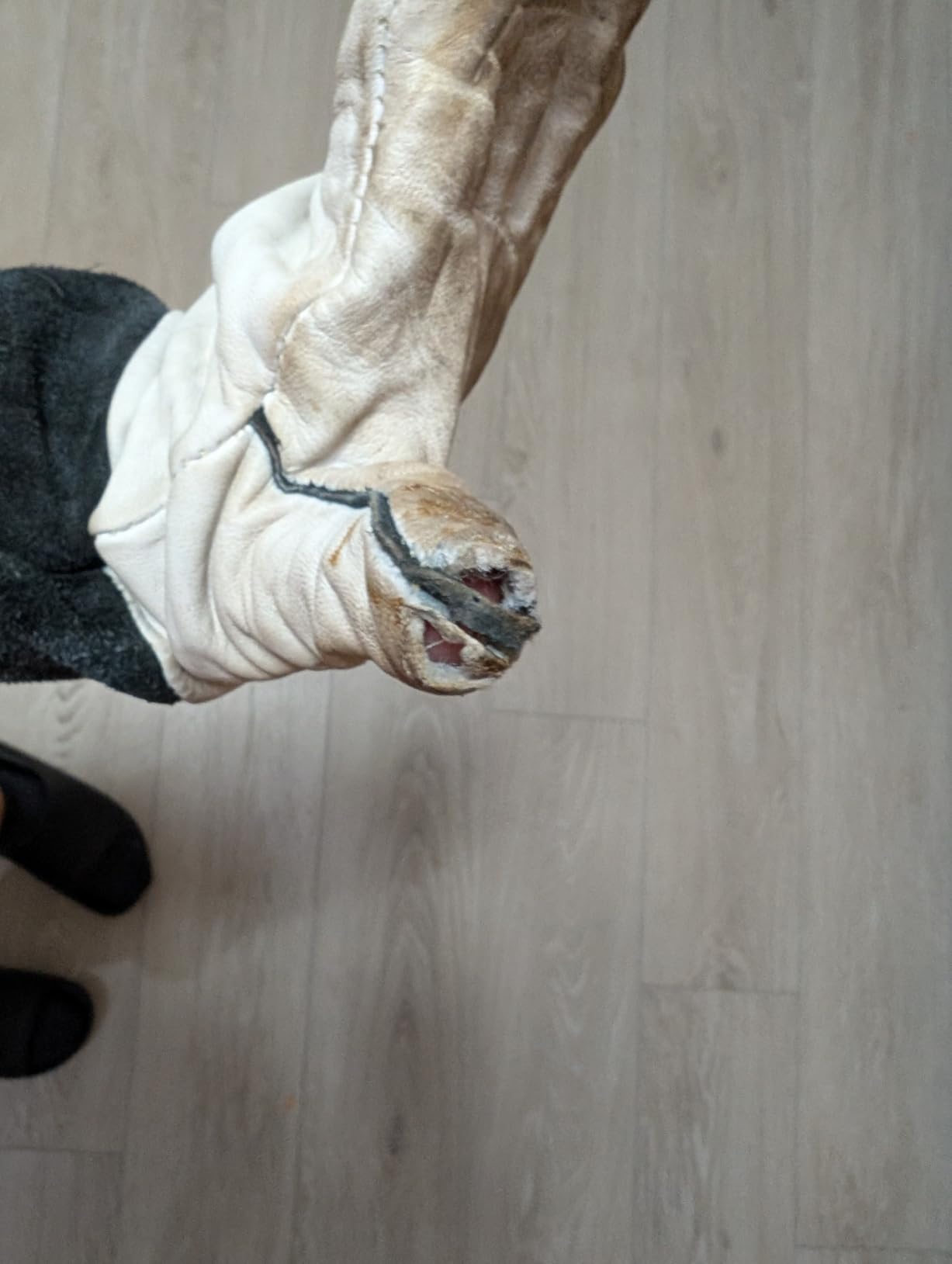 Lincoln Electric Grain Leather TIG Welding Gloves | Comfortable | Lightweight | K2981 - (M -XL) | customer photo 1