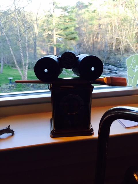 Celestron TrailSeeker 8x42 Premium Phase & Dielectric Coated Binoculars customer photo 1