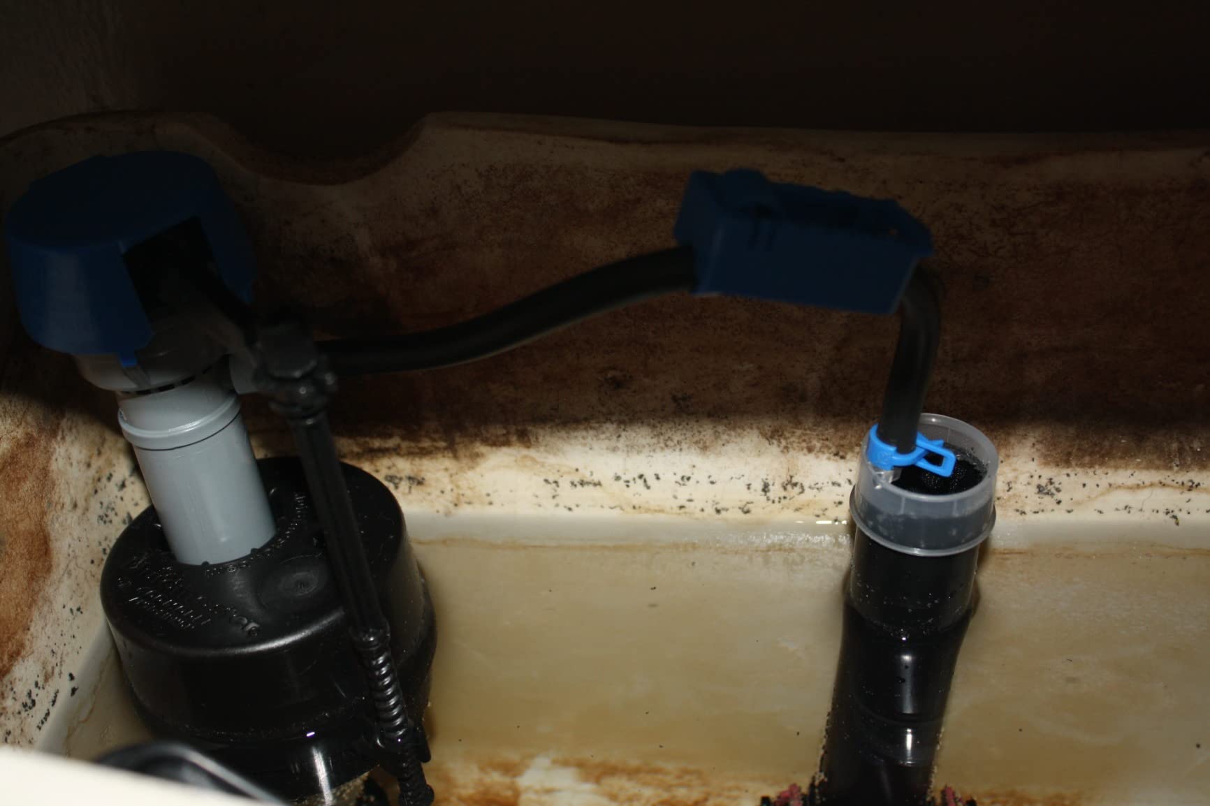 Fluidmaster 507AKP7 2-Inch Toilet Flush Valve Repair Kit customer photo 1