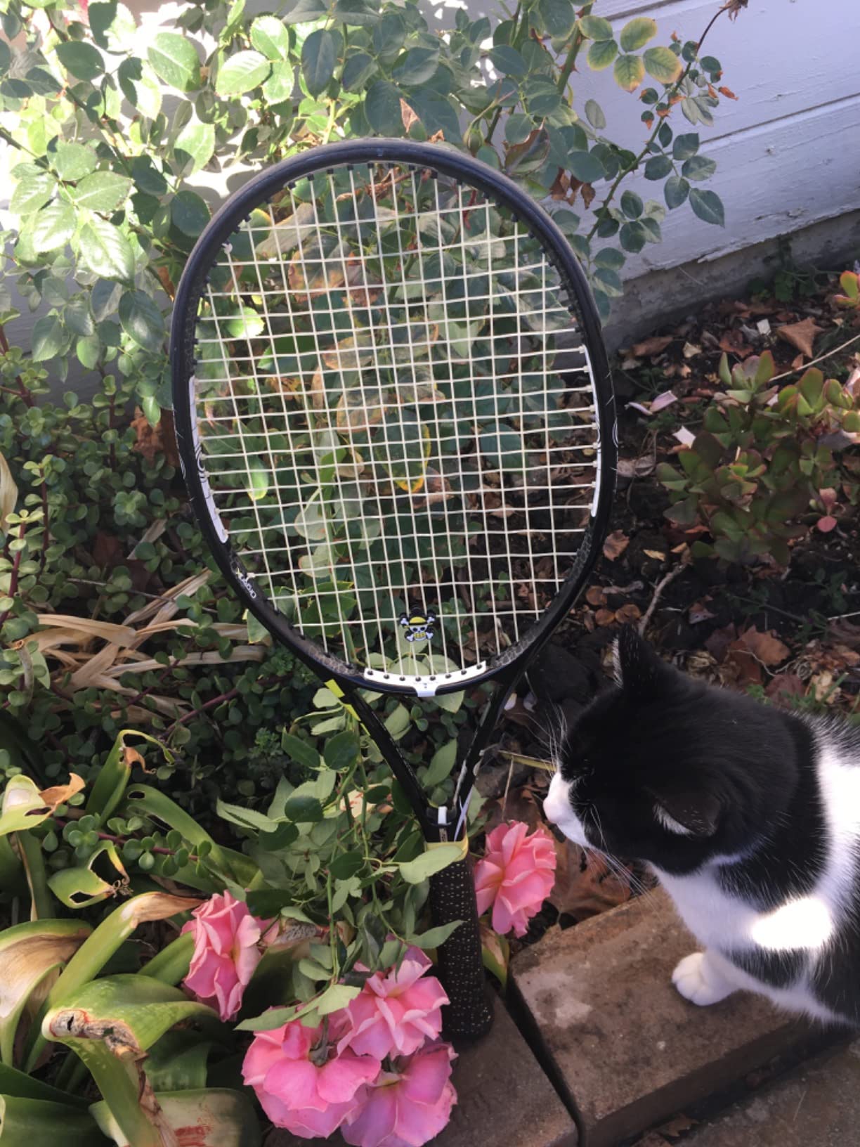Luxilon Natural Gut Tennis String - Set, White customer photo 1