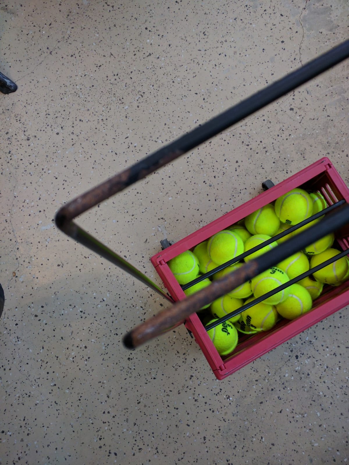 Tourna Ballport Deluxe Tennis Ball Hopper with Wheels customer photo 1
