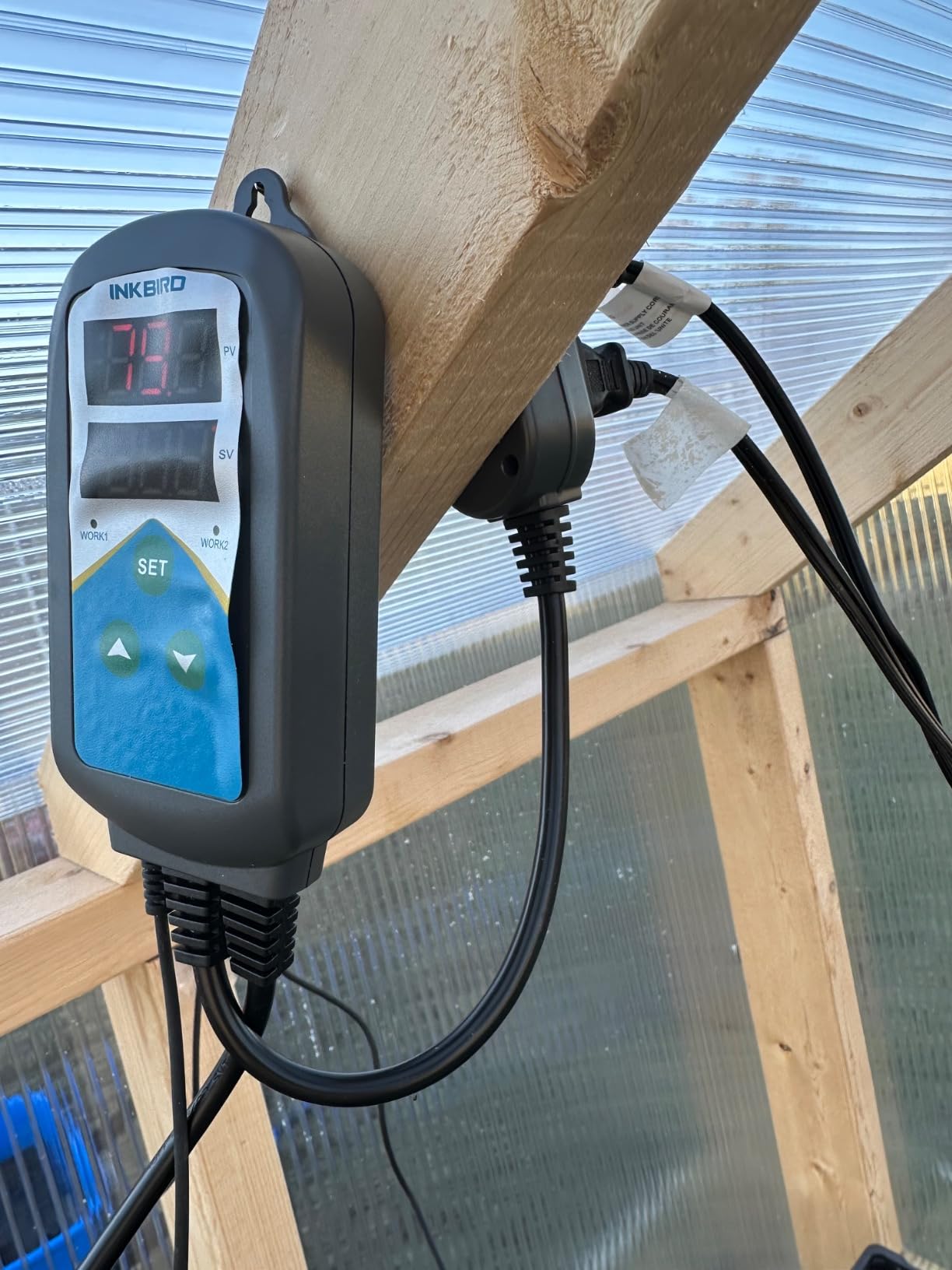 Inkbird Temperature Controller Electronic Heating Thermostat Aquarium Probe customer photo 1