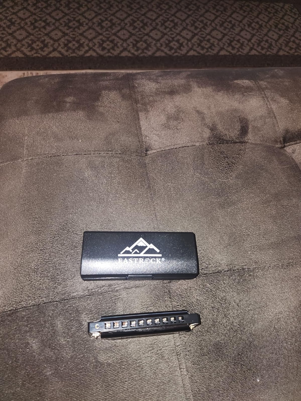 EastRock 10 Hole Blues Harmonica C Key Black with Case for Adults Beginner customer photo 2