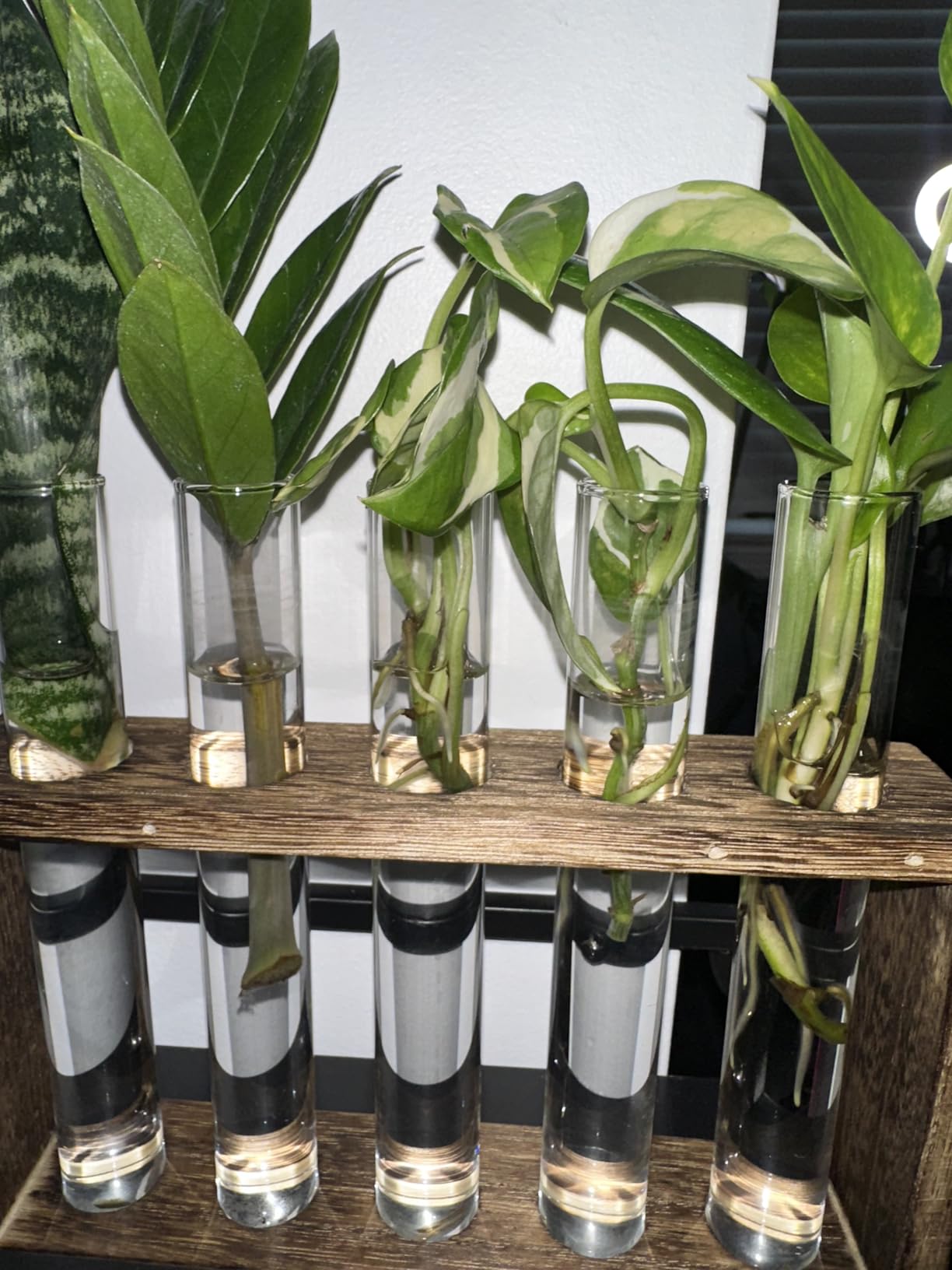 Propagation Station, Plants Terrarium, Plants Lover Gifts for Women,Plant Cutting Holder Home décor,Gifts for Women,House Warming New Home-5 Tubes-Brown customer photo 1