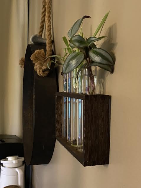 Propagation Station, Plants Terrarium, Plants Lover Gifts for Women,Plant Cutting Holder Home décor,Gifts for Women,House Warming New Home-5 Tubes-Brown customer photo 2