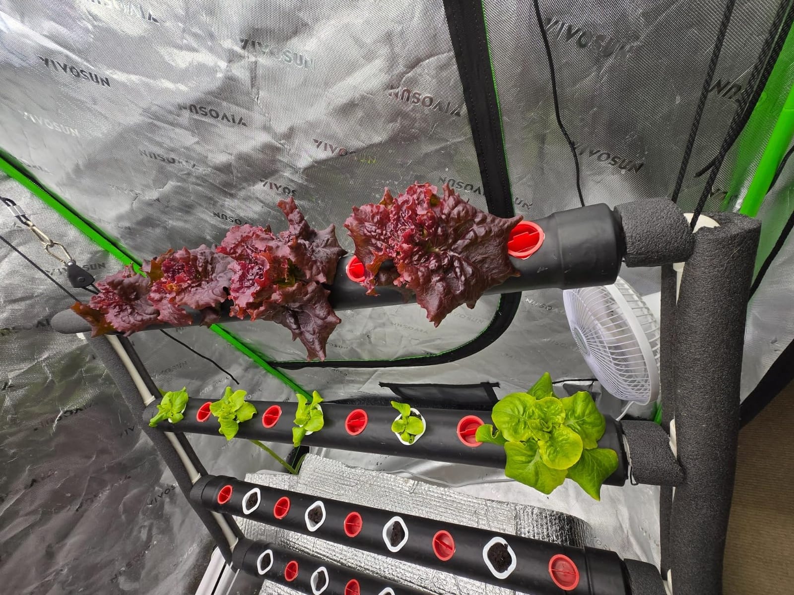 VIVOSUN Hydroponics Growing System 108 Plant Sites, 3 Layers 12 Food-Grade PVC-U Pipes Gardening System Grow Kit with Water Pump Timer, Nest Basket and Sponge for Leafy Vegetables customer photo 1