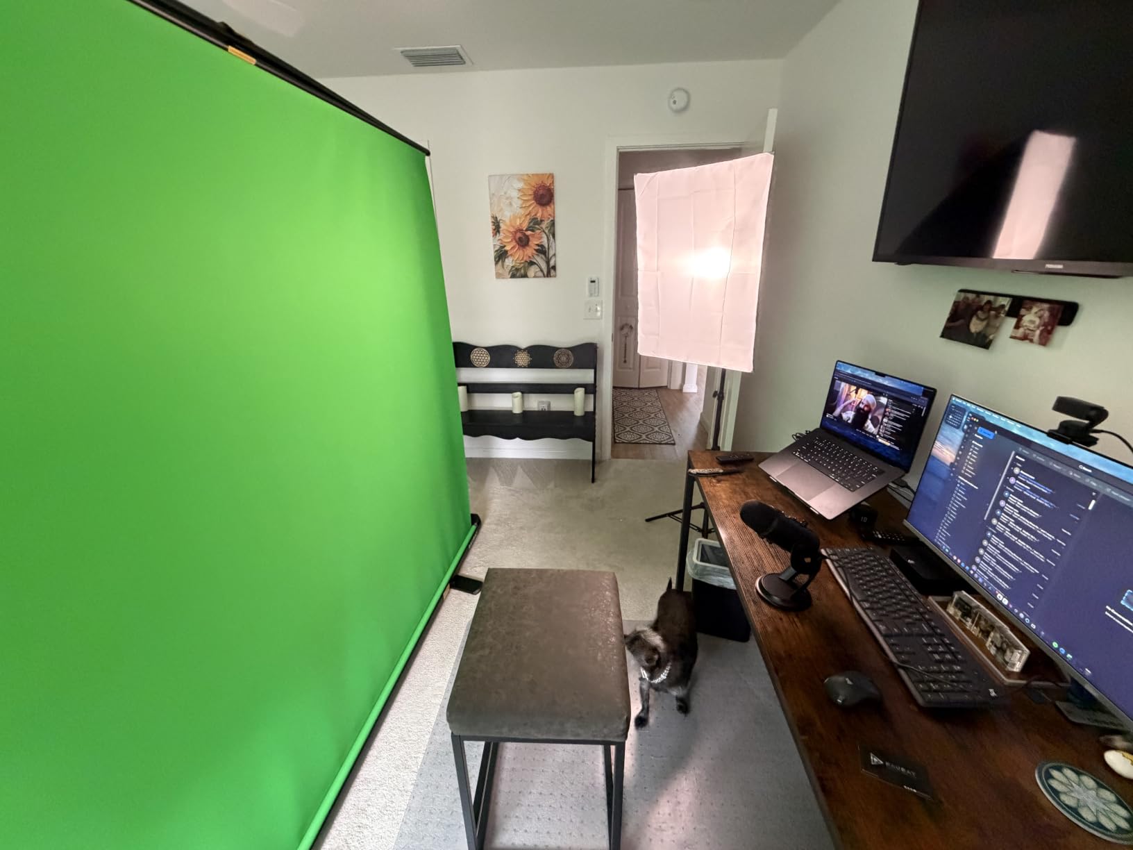 【Upgrade LED】 MOUNTDOG Softbox Lighting Kit, Photography Studio Light with 19.7