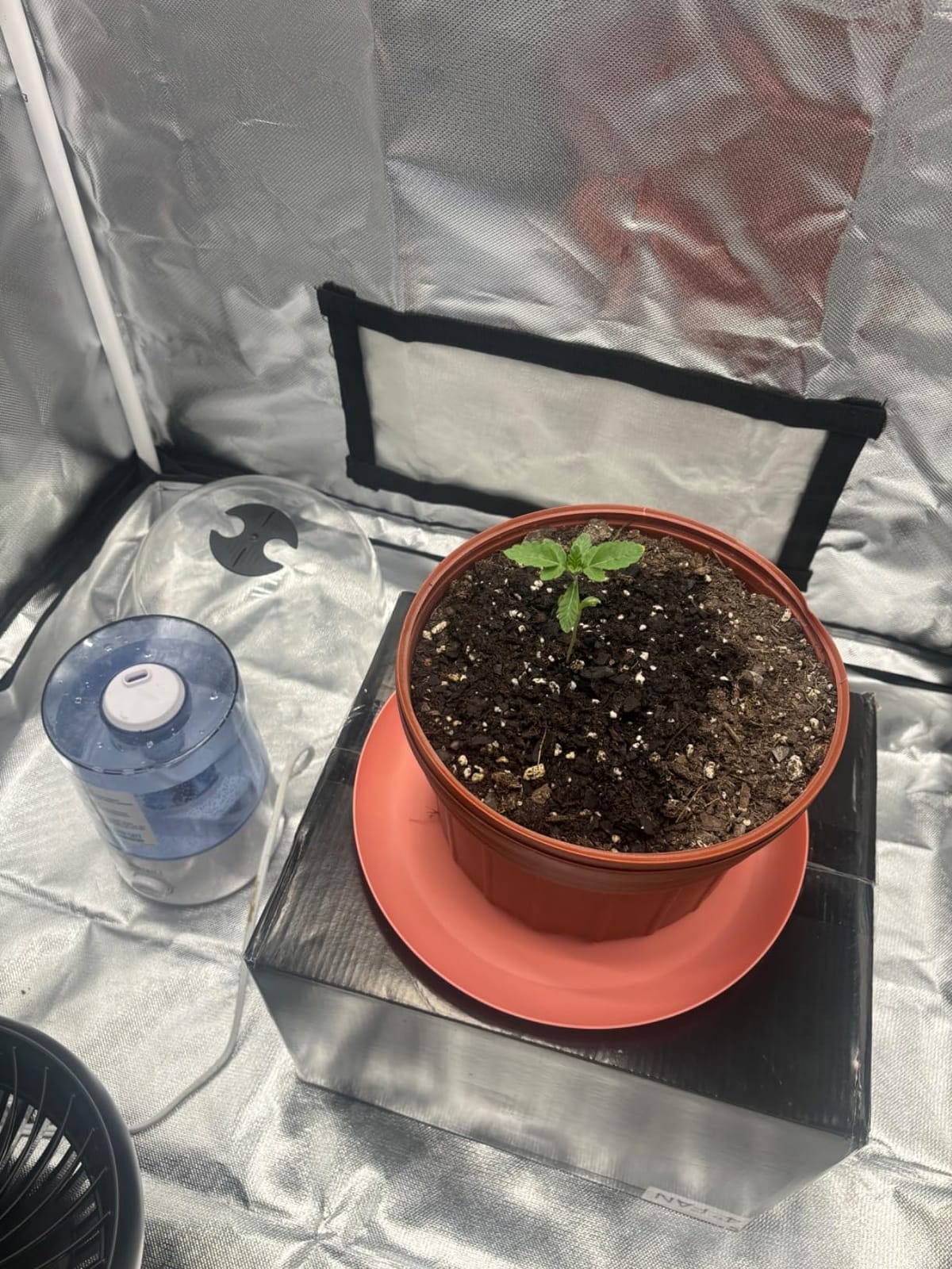 New Tech LED APE600 Full-Spectrum Grow Light+32