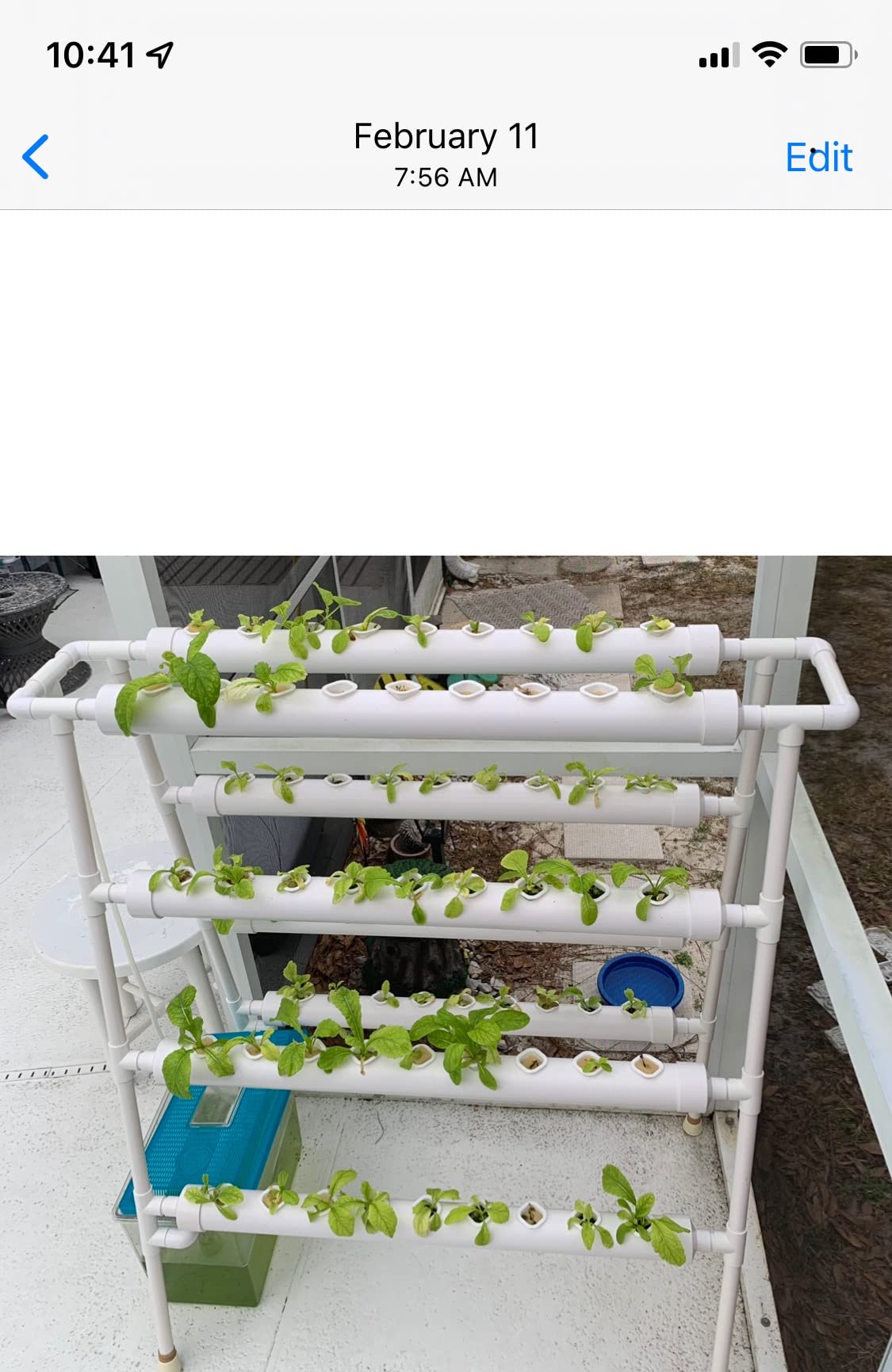 Hydroponics Growing System Kit 36 Plant Sites Food-Grade PVC-U Pipes Hydroponic Grow Kit Gardening System for Vegetables,Fruits,Herb customer photo 1