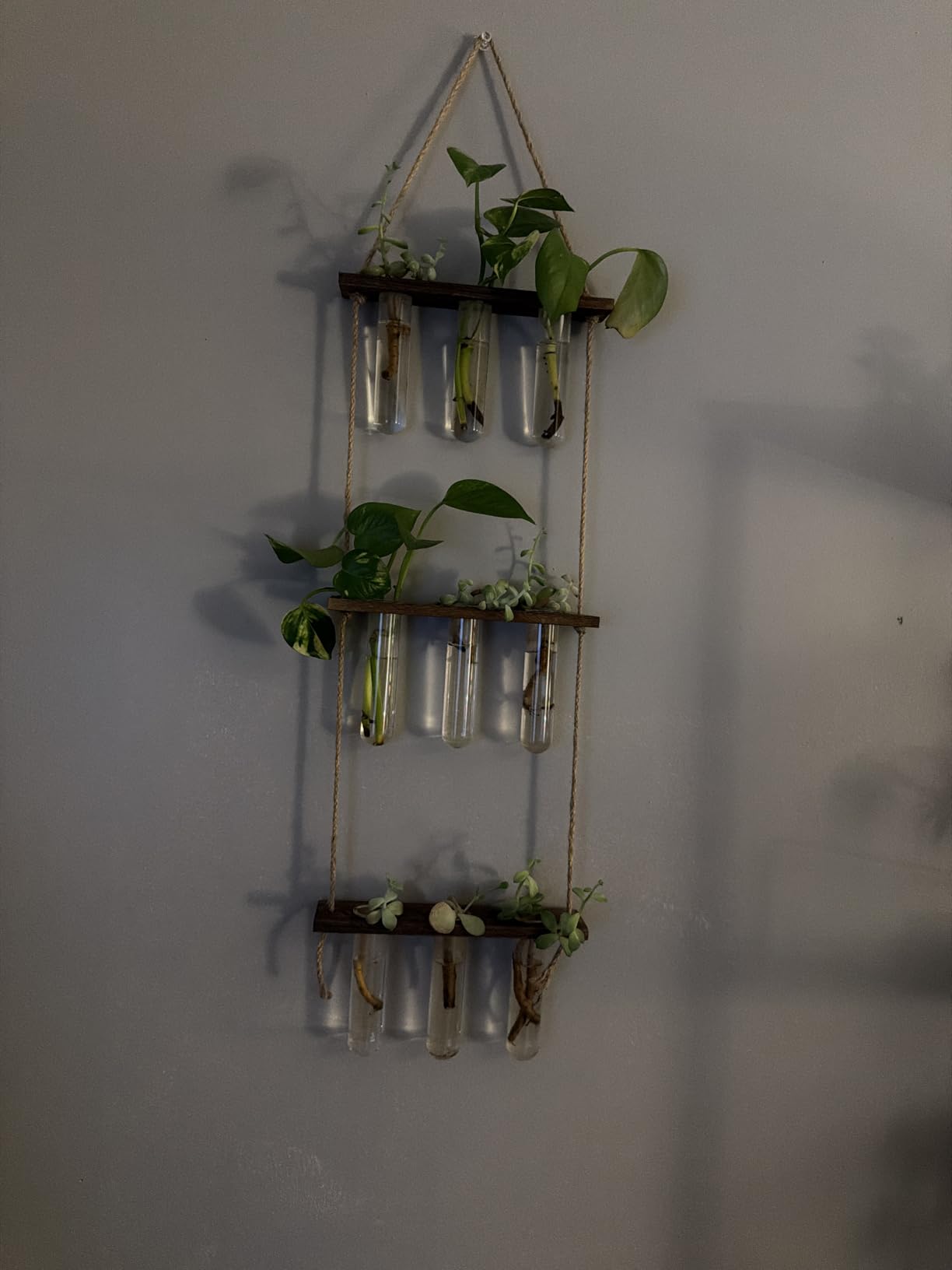 Mkono Plant Propagation Station, 3 Tier Brown Wall Hanging Vase Test Tubes customer photo 1