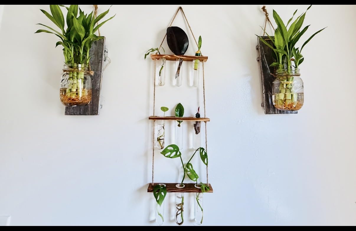 XXXFLOWER Wall Hanging Propagation Station with Wooden Stand Glass Test Tubes Tiered Planters Wall Terrarium for Home Office Plant Hanger Flower Vases Wall Decor Hydroponic Cuttings (9 Tube Vases) customer photo 1