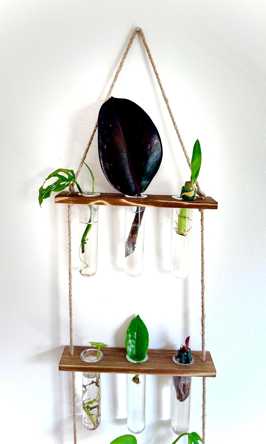 XXXFLOWER Wall Hanging Propagation Station with Wooden Stand Glass Test Tubes Tiered Planters Wall Terrarium for Home Office Plant Hanger Flower Vases Wall Decor Hydroponic Cuttings (9 Tube Vases) customer photo 2