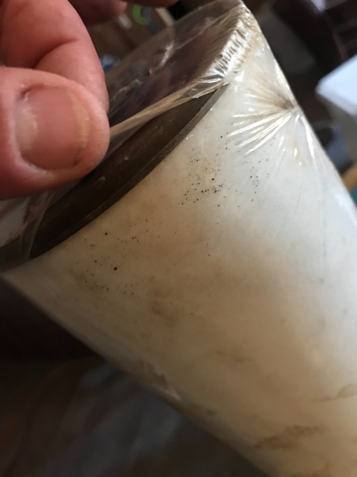 Pentair Pentek RFFE20-BB Big Blue Whole House Iron Reduction Filter customer photo 1