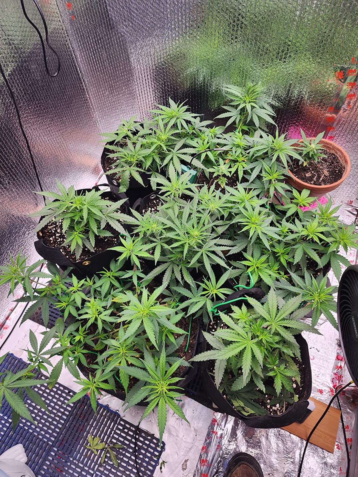 AC Infinity IONBOARD S22, LED Grow Light Board 2x2 with Dimming Control customer photo 1