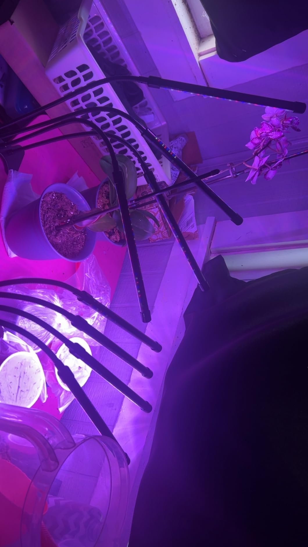 Shyineyou Grow Lights for Indoor Plants Full Spectrum, 80 LEDs Plant Lights for Indoor Growing with 3/9/12H Timer, 3 Color Modes & 9 Brightness, 4 Heads Clip-On Plant Grow Light customer photo 1