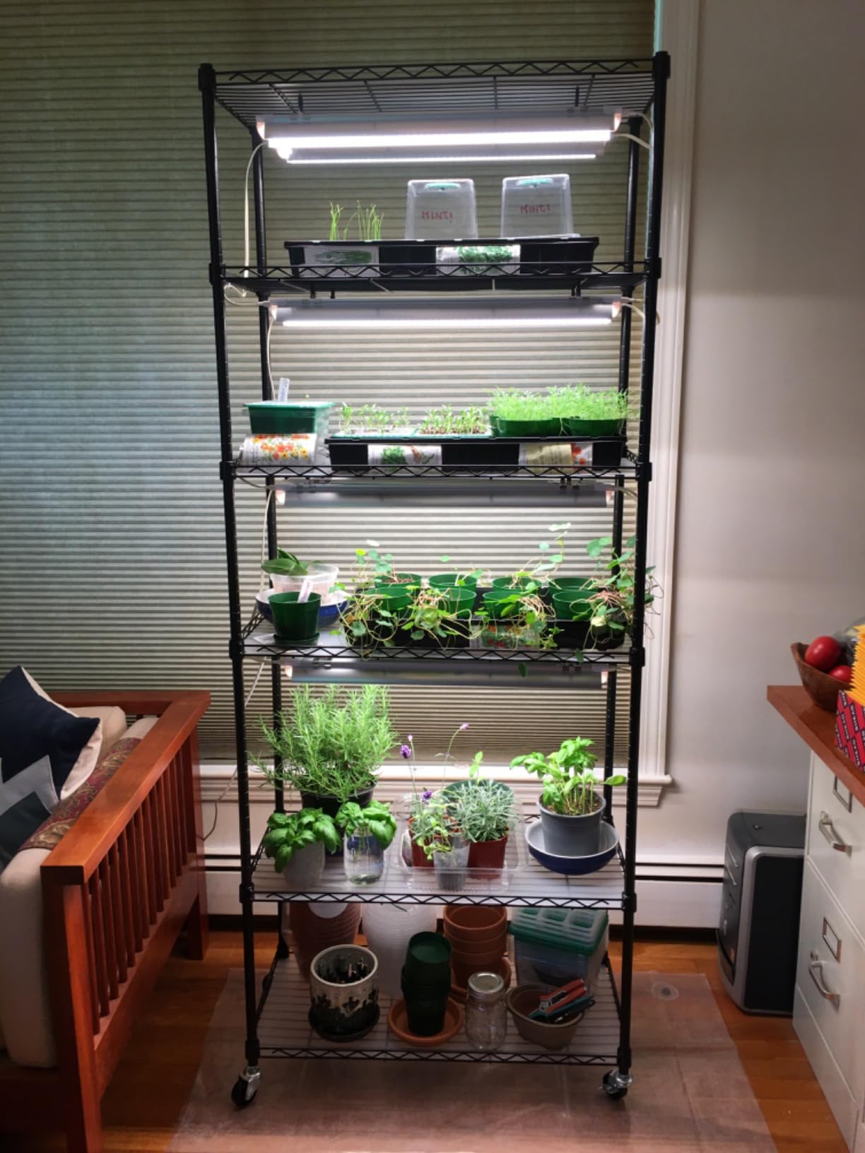 Bstrip DIY Plant Shelf with Grow Light, Adjustable, 29.5x13.8x70.9in customer photo 1