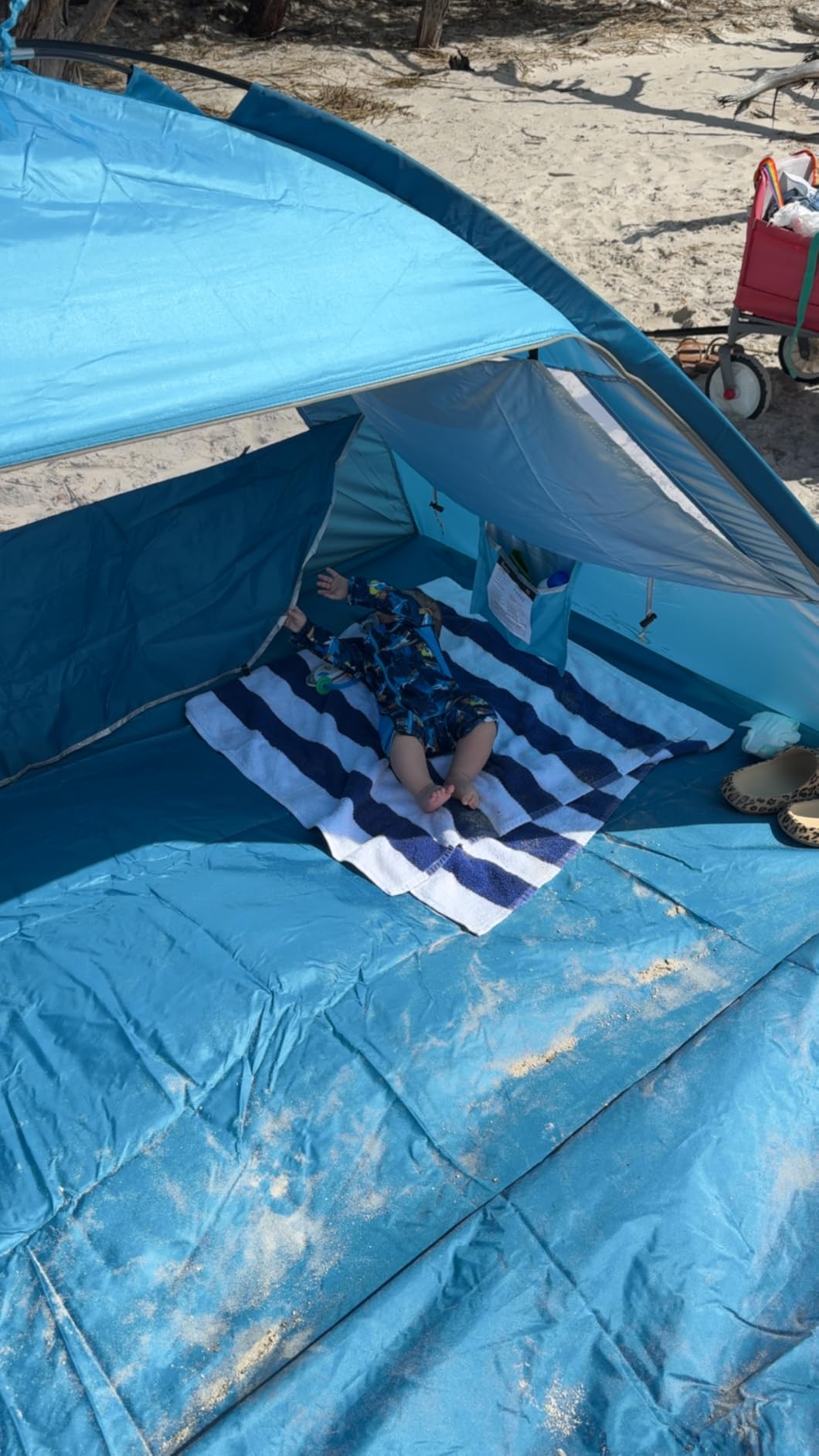 COMMOUDS Beach Tent Sun Shelter for 3/4/6/8 Person, UPF 50+ UV Protection Beach Shade Canopy Tent, Lightweight, Easy Set Up and Carry customer photo 1