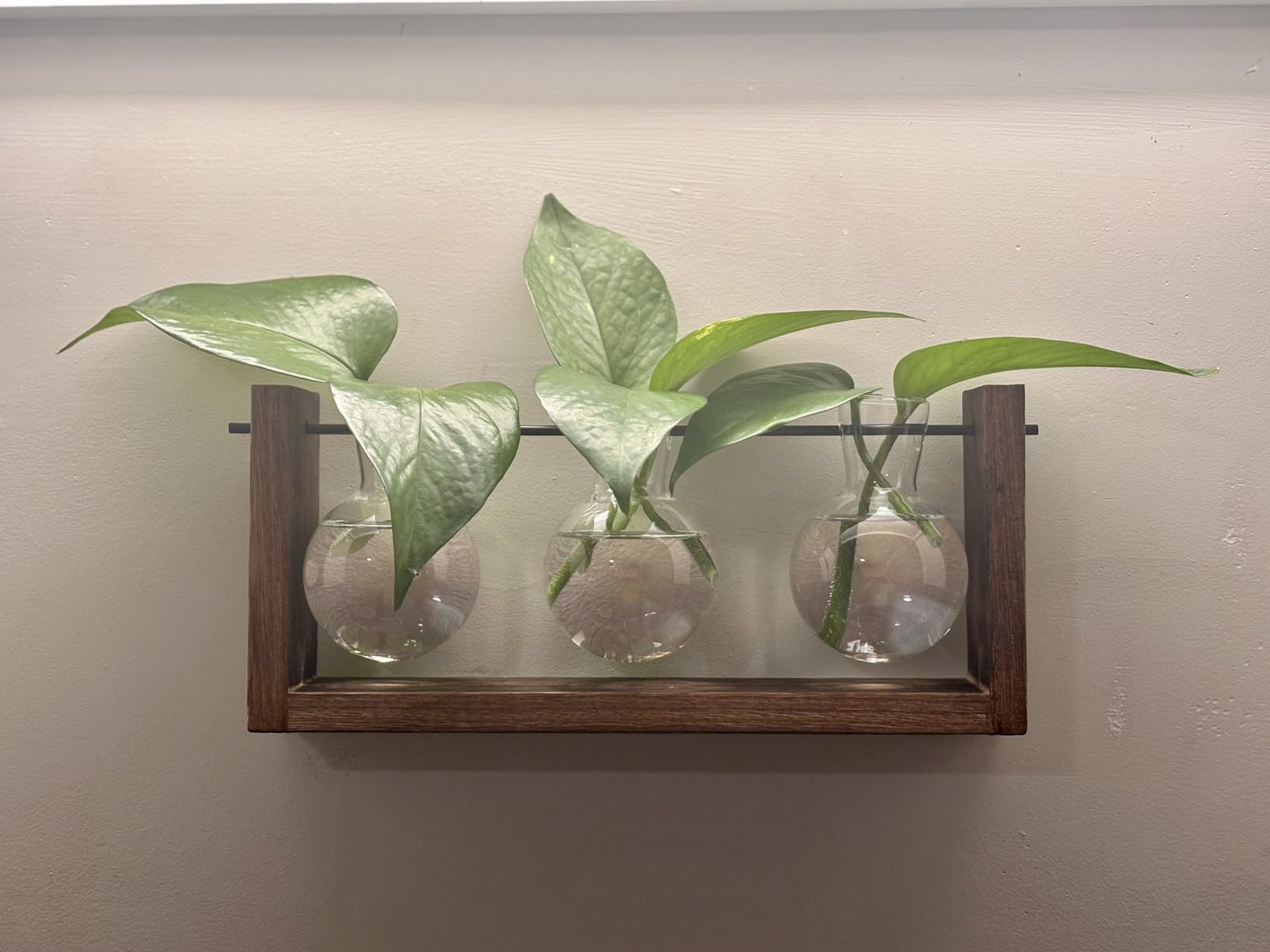 YIBOT Propagation Stations,Plant Terrarium with Wooden Stand-3 Glass Vases customer photo 1