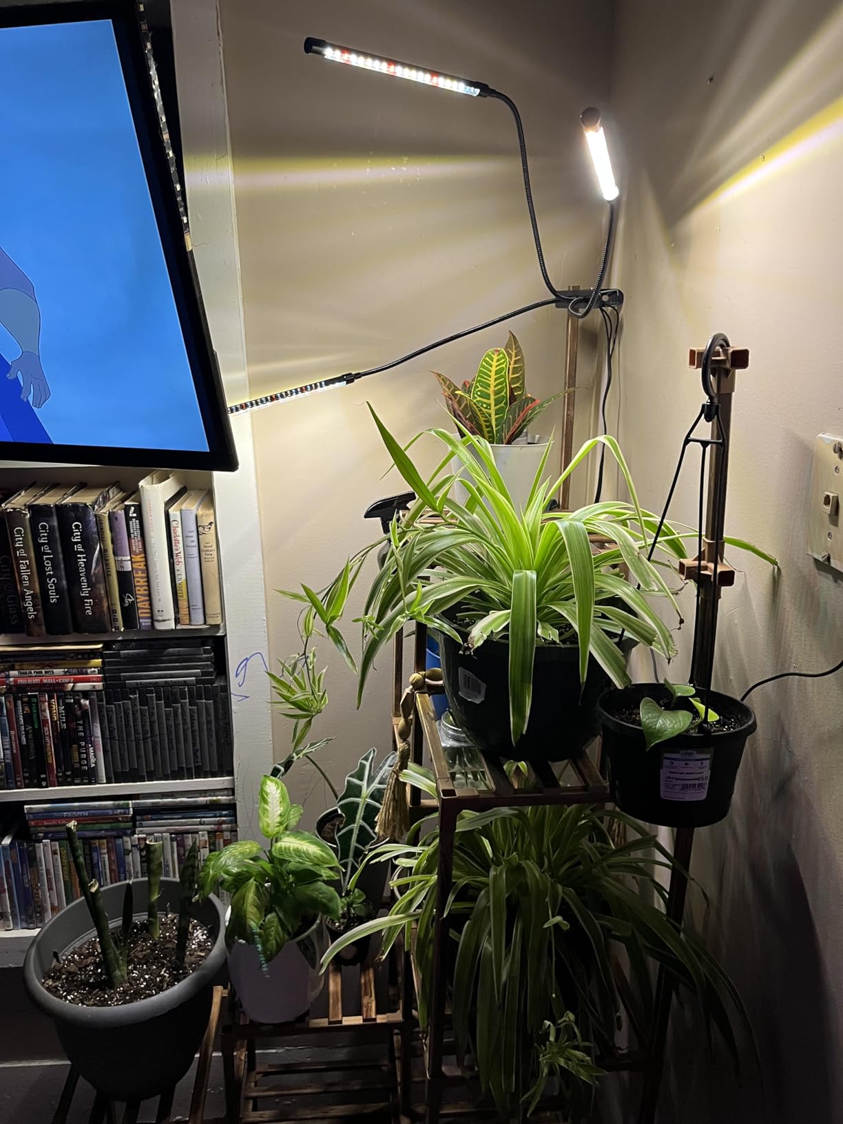 Grow Lights for Indoor Plants, Full Spectrum Tri-Head Clip Plant Lights customer photo 1