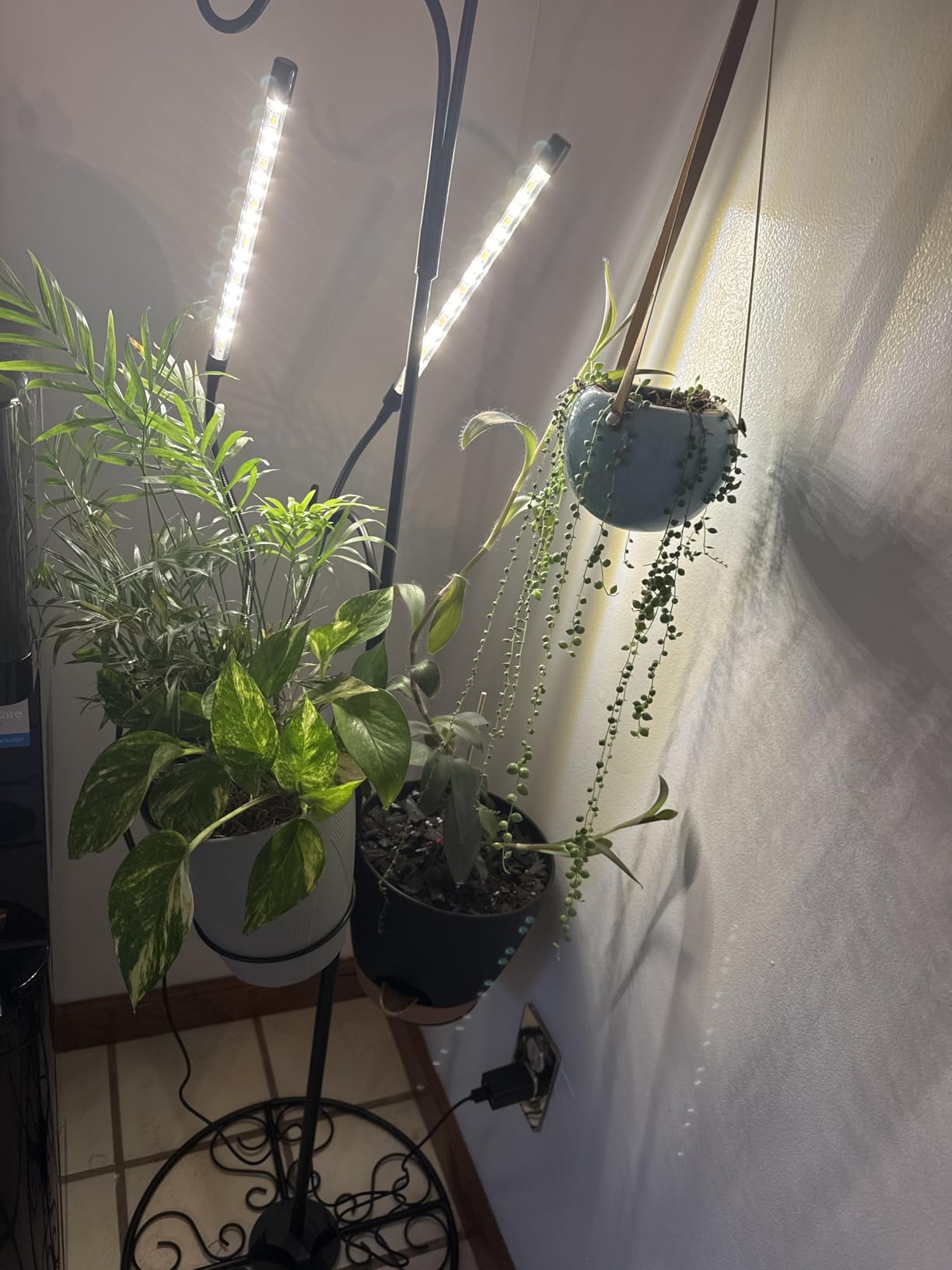 bseah Grow Light Plant Lights for Indoor Plants, Full Spectrum Led Growing Lamp with 3/9/12H Timer, Auto ON & Off, 10 Dimmable Lightness Clip-On Desk customer photo 1
